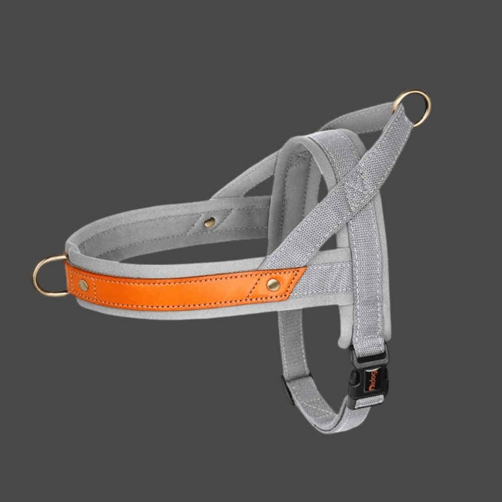 Harnais pour chien | Poitrail en nylon - Les chiens beaux