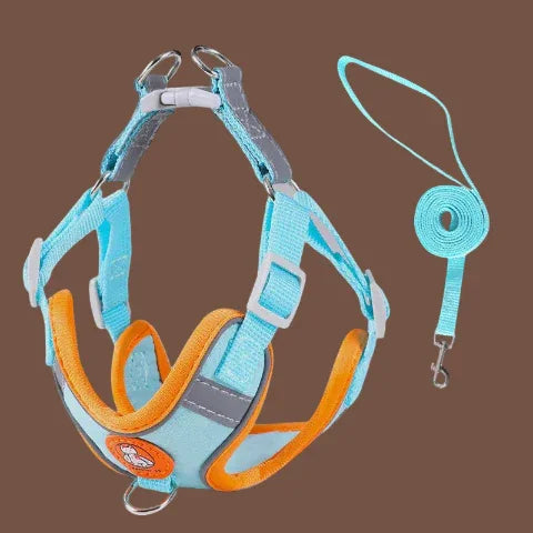 harnais pour petit chien Gilet sans traction bleu