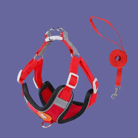 harnais pour petit chien Gilet sans traction rouge