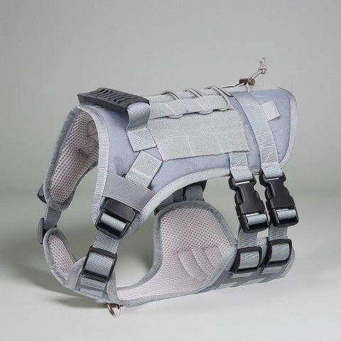 harnais tactique chien gris