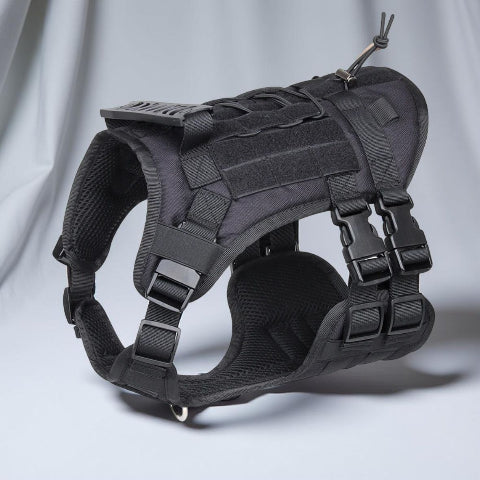 harnais tactique chien noir