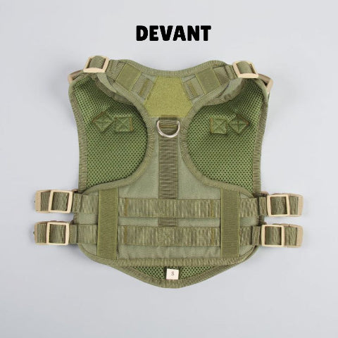 harnais tactique chien solide