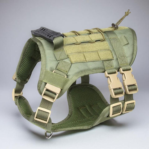 harnais tactique chien vert