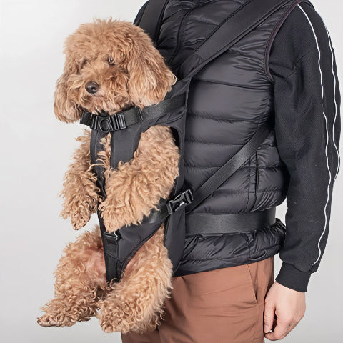homme qui porte le sac a dos chien noir avec son chiot à l'intérieur