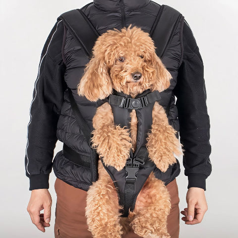 homme qui porte le sac a dos chien noir