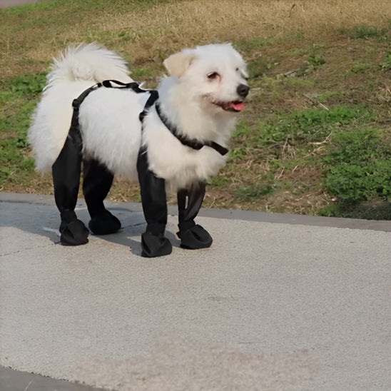 Bottes pour chien | Imperméable à bretelles