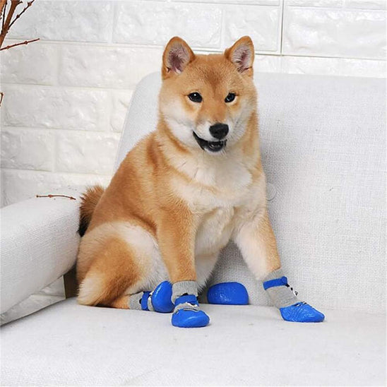 Chaussure chien | Couvre-pieds Teddy