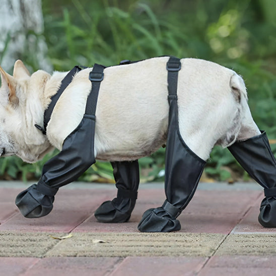 Bottes pour chien | Imperméable à bretelles