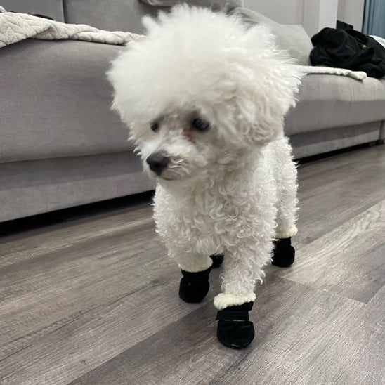 Chausson pour chien | Botte Mittens