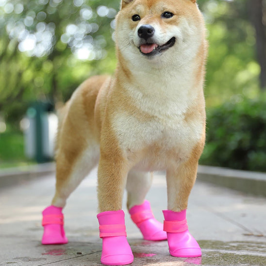 Chaussure pour chien | Bottine en caoutchouc