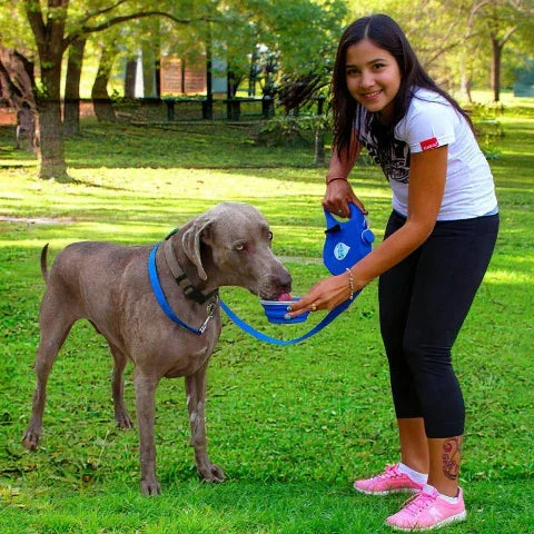 jeune fille qui sert de l'eau a son chien a l'aide de la bouteille de la laisse pour chien multifonction 3 en 1