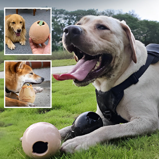 Jouet pour chien - Oeuf de dinosaure