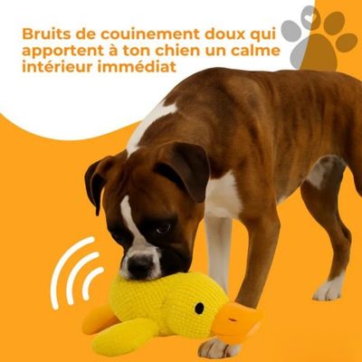 Jouet pour chien | Canard Couineur 3-en-1