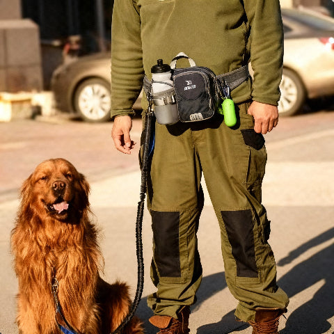 laisse canicross noire