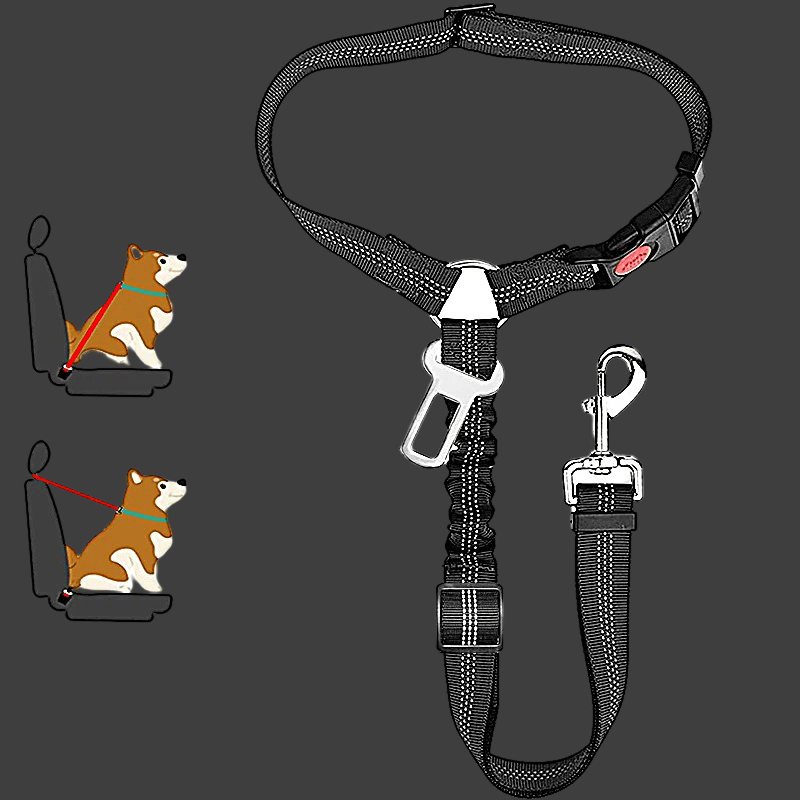LAISSE CHIEN | CEINTURE 2 EN 1 - Les chiens beaux