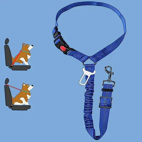 laisse chien ceinture 2 en 1 bleue