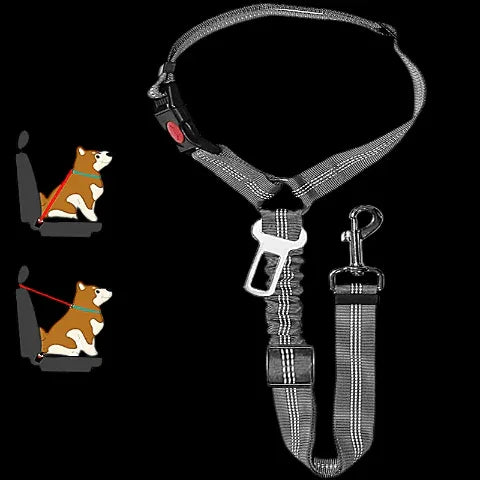 laisse chien ceinture 2 en 1 grise