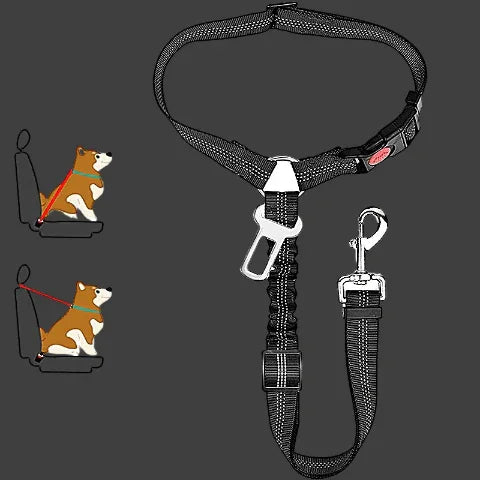 laisse chien ceinture 2 en 1 noire