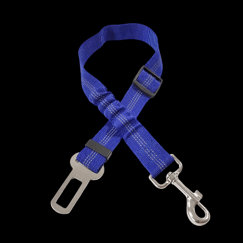 laisse chien ceinture de securite bleue