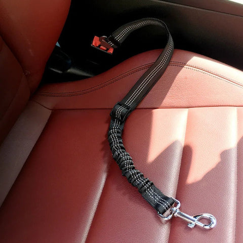 laisse chien ceinture de securite durable