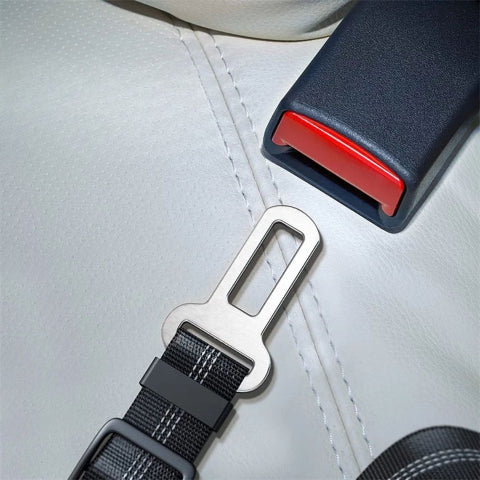 laisse chien ceinture de securite essentielle pour les longs trajets