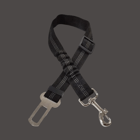 laisse chien ceinture de securite noire