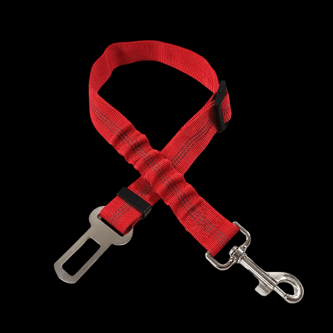 laisse chien ceinture de securite rouge