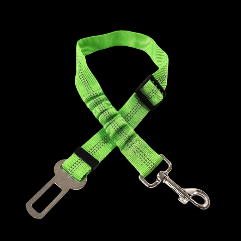 laisse chien ceinture de securite verte