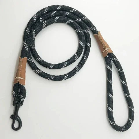 laisse chien cordon de controle leger noir durable