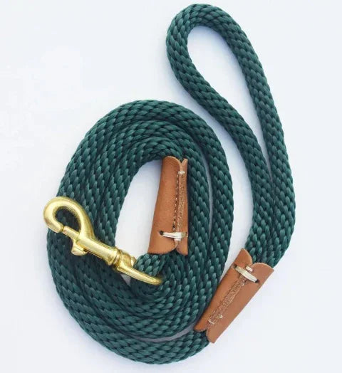 laisse chien cordon de controle leger vert