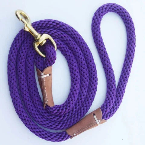 laisse chien cordon de controle leger violet