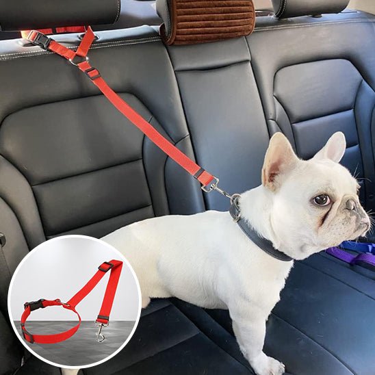 LAISSE CHIEN DE VOITURE | SECURI - LAISSE - Les chiens beaux