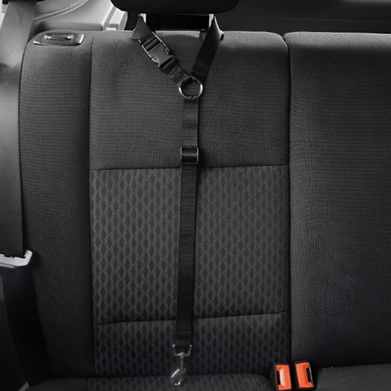 LAISSE CHIEN DE VOITURE | SECURI - LAISSE - Les chiens beaux