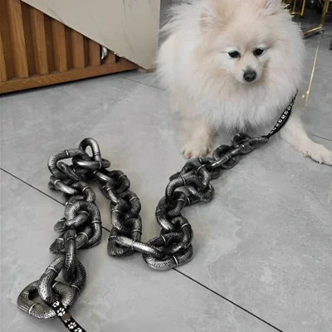 laisse chien fausse chaine en plastique indispensable