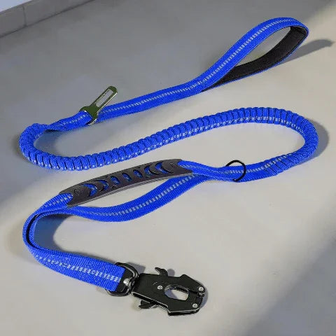 laisse chien tactique bleue