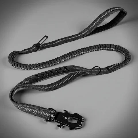 laisse chien tactique noire