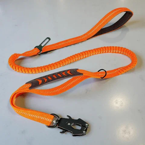 laisse chien tactique orange