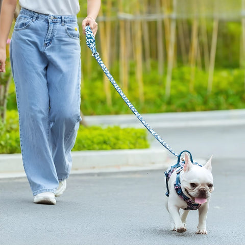 laisse de chien floral Truelove bleue saxony de bonne qualite