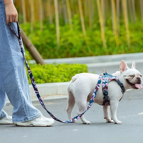 laisse de chien floral Truelove navy blazer pratique