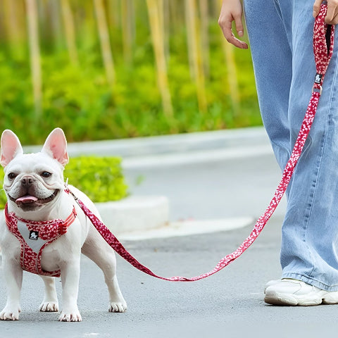 laisse de chien floral Truelove rouge poppy essentielle