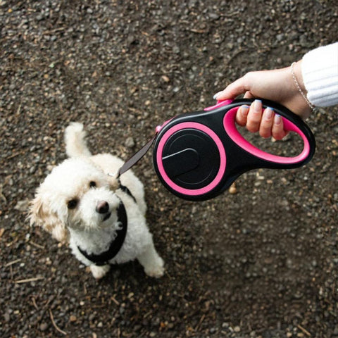 laisse de chien retractable en nylon rose de bonne qualite