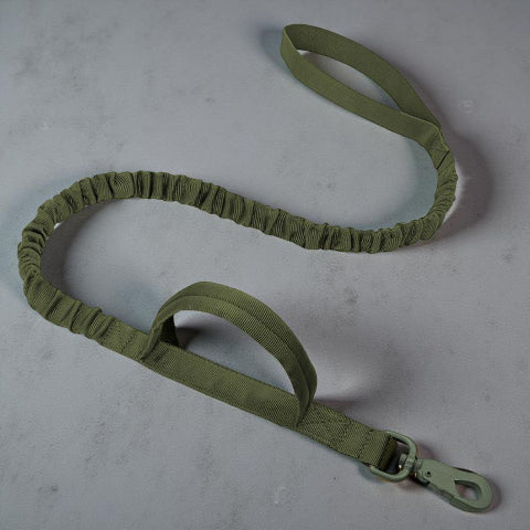 laisse de chien tactique verte