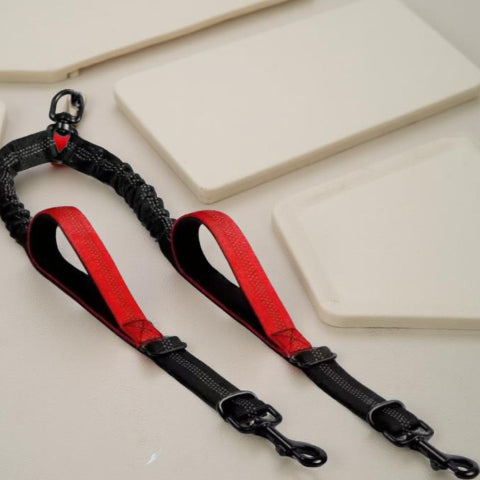 laisse double chien double corde rouge durable