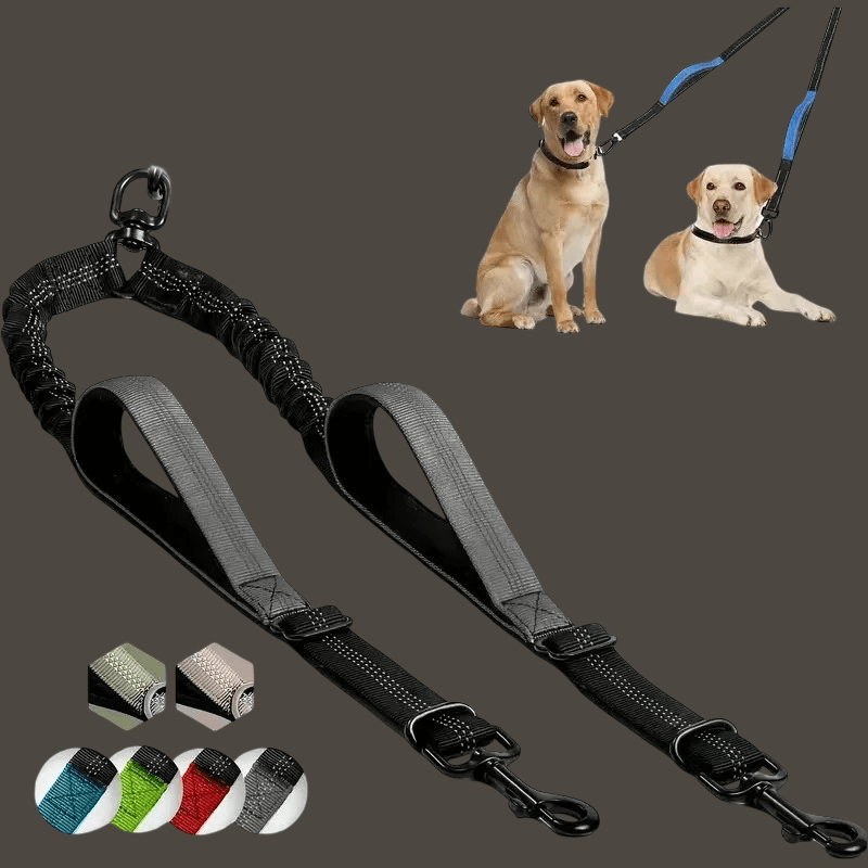 LAISSE DOUBLE CHIEN | DOUBLE CORDE - Les chiens beaux