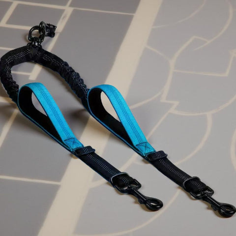 laisse double chien double corde bleue robuste