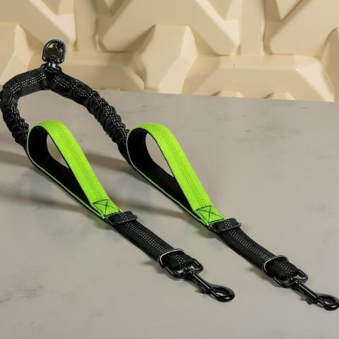 laisse double chien double corde verte