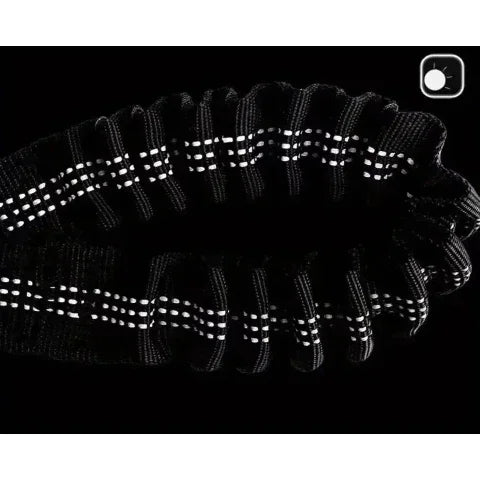 laisse double chien double corde visible la nuit