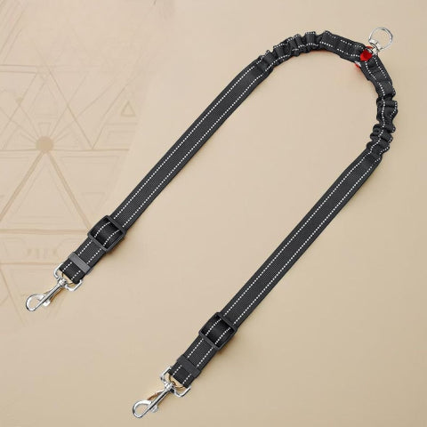 laisse enrouleur led roulette double corde