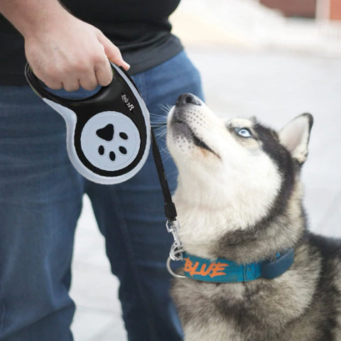 laisse enrouleur pattes de chien noire de bonne qualite