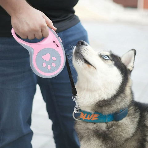 laisse enrouleur pattes de chien rose efficace